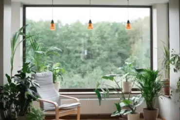 Como decorar jardim de inverno?