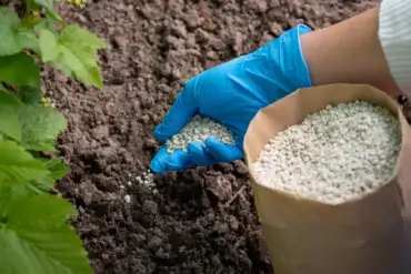 adubação foliar